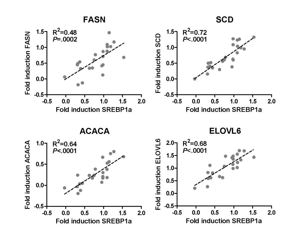 Primary human hepatocyte cultures of 23 donors were treated with 30 μM rifampicin for 48 h. Linear regression analysis of log2-transformed values of fold induction by rifampicin of the mRNA expression of SREBP1a and the indicated genes in primary human hepatocytes, as shown in Fig. 3a in the article »Pregnane X receptor activation and silencing promote steatosis of human hepatic cells by distinct lipogenic mechanisms« (see Suppl. material).
