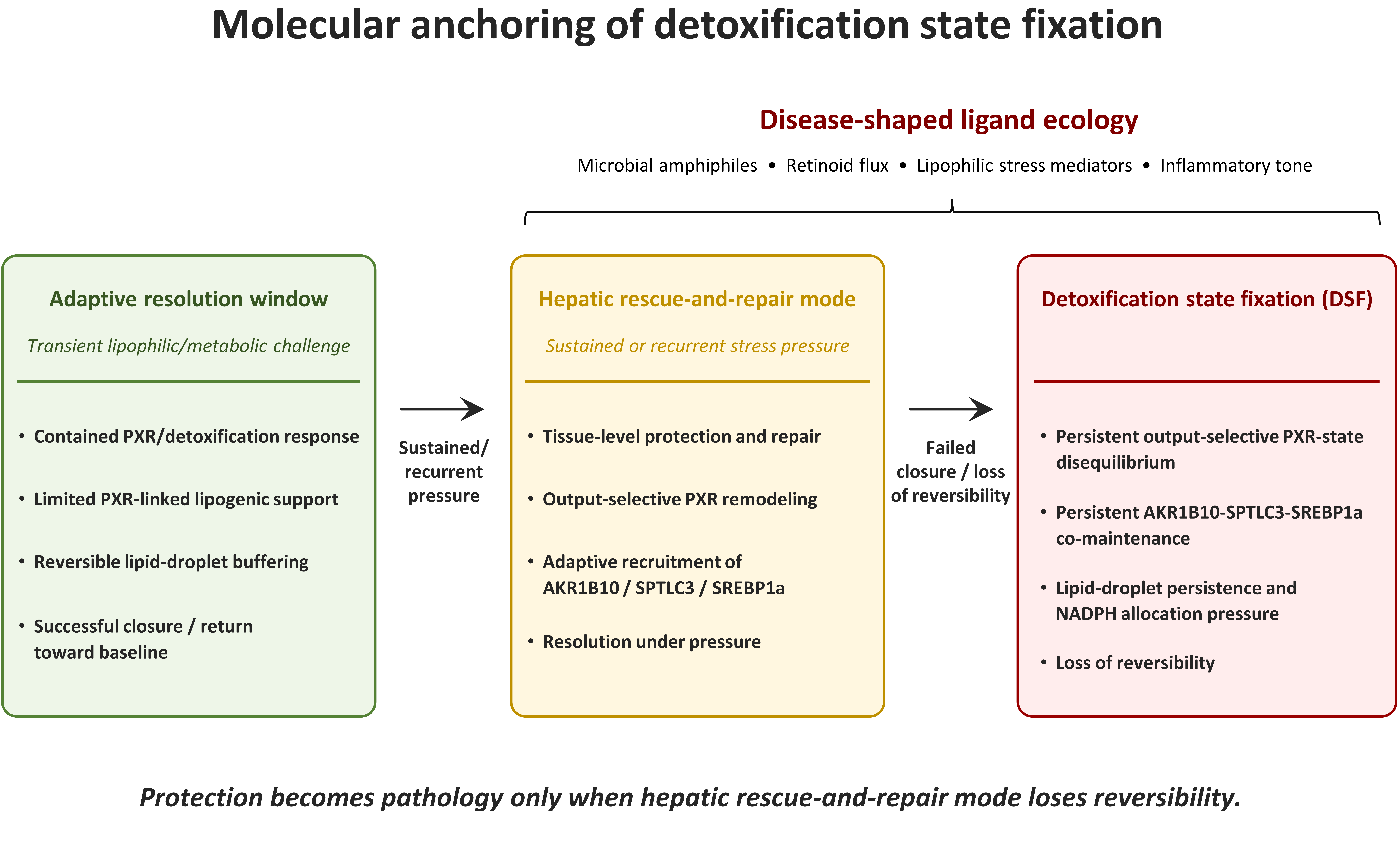 Figure 1 | Molecular anchoring of detoxification state fixation